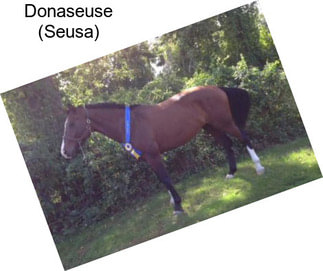 Donaseuse (Seusa)