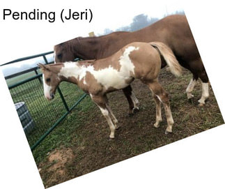 Pending (Jeri)