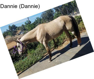 Dannie (Dannie)