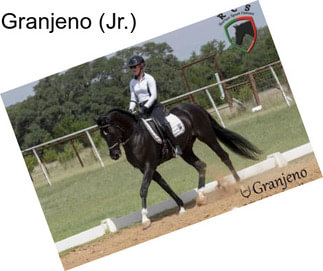 Granjeno (Jr.)