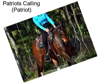 Patriots Calling (Patriot)