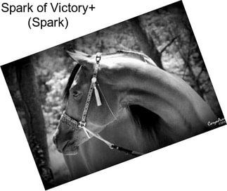 Spark of Victory+ (Spark)