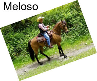 Meloso