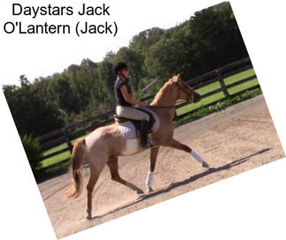 Daystars Jack O\'Lantern (Jack)