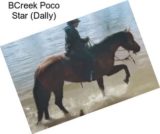 BCreek Poco Star (Dally)