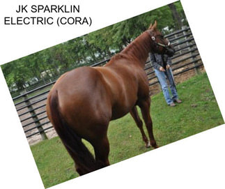 JK SPARKLIN ELECTRIC (CORA)