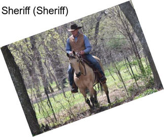 Sheriff (Sheriff)