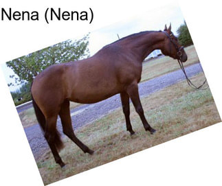 Nena (Nena)