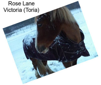 Rose Lane Victoria (Toria)