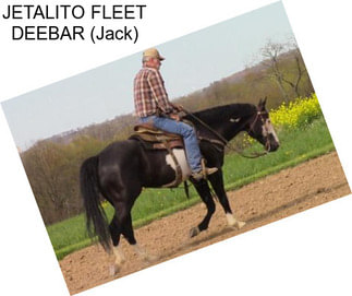 JETALITO FLEET DEEBAR (Jack)