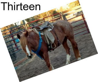 Thirteen