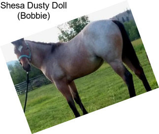 Shesa Dusty Doll (Bobbie)