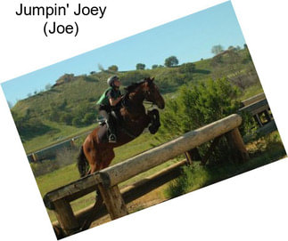 Jumpin\' Joey (Joe)