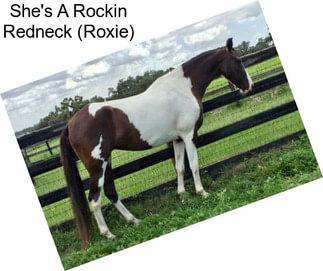 She\'s A Rockin Redneck (Roxie)