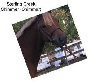 Sterling Creek Shimmer (Shimmer)