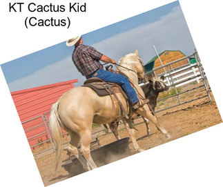 KT Cactus Kid (Cactus)