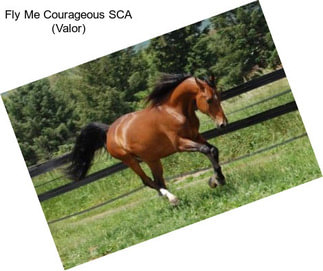 Fly Me Courageous SCA (Valor)