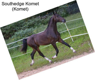 Southedge Komet (Komet)