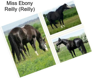 Miss Ebony Reilly (Reilly)