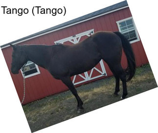 Tango (Tango)