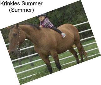 Krinkles Summer (Summer)