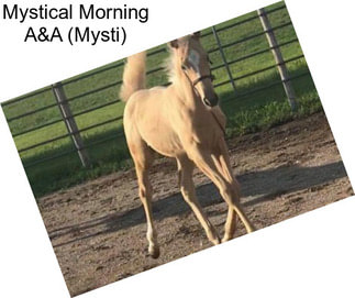 Mystical Morning A&A (Mysti)