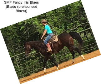 SMF Fancy Iris Blaes (Blaes (pronounced Blaze))