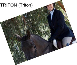 TRITON (Triton)