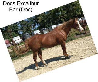 Docs Excalibur Bar (Doc)