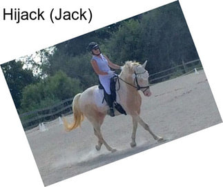 Hijack (Jack)