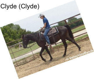 Clyde (Clyde)