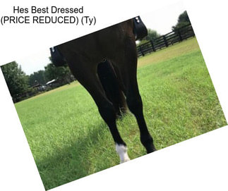 Hes Best Dressed (PRICE REDUCED) (Ty)