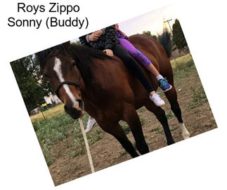 Roys Zippo Sonny (Buddy)