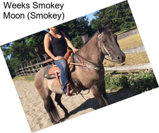 Weeks Smokey Moon (Smokey)