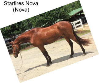 Starfires Nova (Nova)