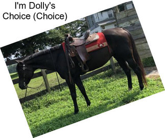 I\'m Dolly\'s Choice (Choice)