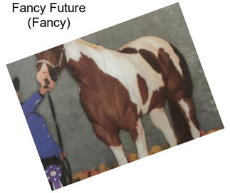 Fancy Future (Fancy)