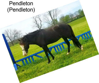 Pendleton (Pendleton)