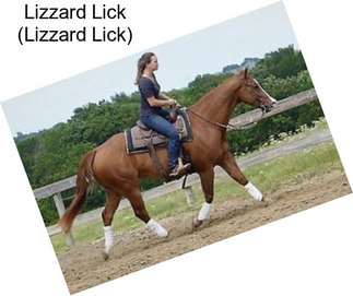 Lizzard Lick (Lizzard Lick)