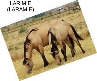 LARIMIE (LARAMIE)