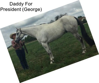 Daddy For President (George)