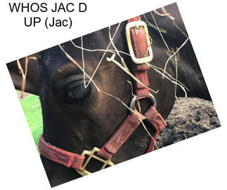 WHOS JAC D UP (Jac)