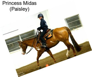 Princess Midas (Paisley)