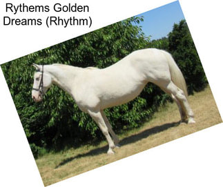 Rythems Golden Dreams (Rhythm)