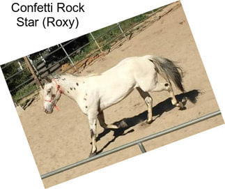 Confetti Rock Star (Roxy)