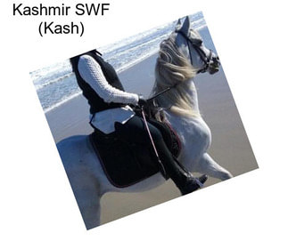 Kashmir SWF (Kash)