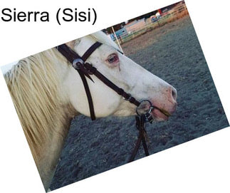 Sierra (Sisi)