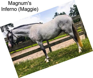 Magnum\'s Inferno (Maggie)