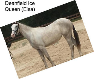 Deanfield Ice Queen (Elsa)