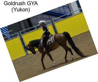 Goldrush GYA (Yukon)